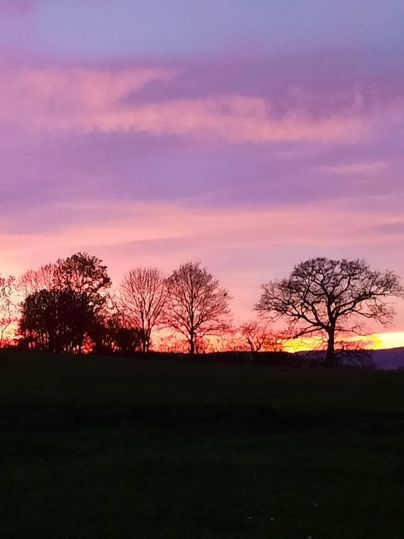 Ein schöner Sonnenuntergang mit leuchtenden Farben am Himmel. Silhouetten von Bäumen sind im Vordergrund zu sehen.