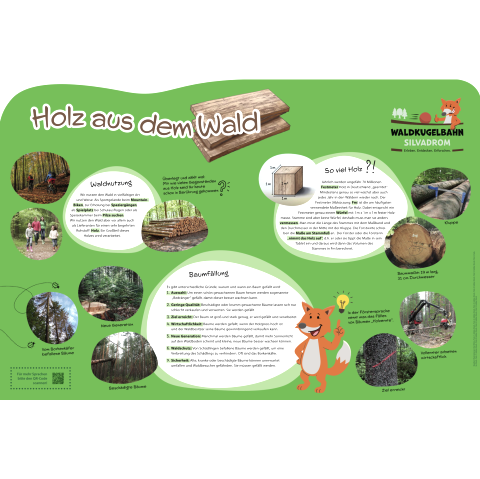 Groot informatiebord "Hout uit het bos" met informatie over bosgebruik, houtkap en houtkap.