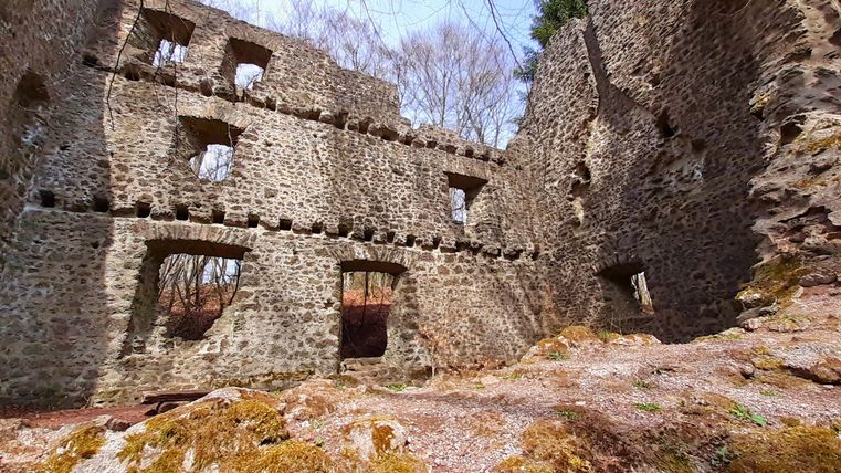 Die Burgruine Freudenkoppe zeigt alte Steinmauern mit offenen Fensteröffnungen und moosbewachsenen Steinen im Vordergrund.