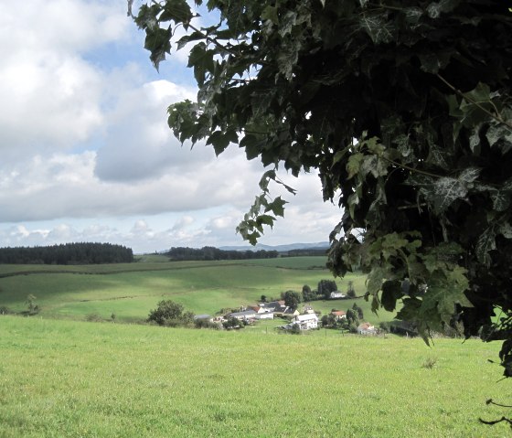 Grüne Felder und ein kleines Dorf unter einem bewölkten Himmel, mit Baumblättern im Vordergrund., © Touristik GmbH Gerolsteiner Land, Ute Klinkhammer
