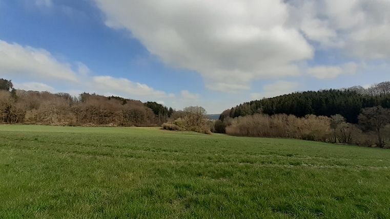 Weitläufige und hügelige Wald- und Wiesenlandschaft bei Oberbettingen mit Blick auf einen angrenzenden Wald.