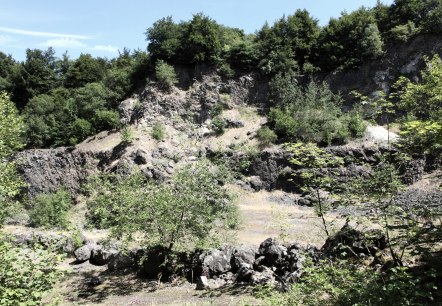 Arensberg Formation, © © Thomas Regnery