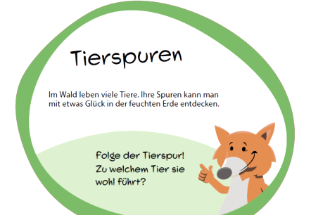 Informatiebord "Animal Tracks" met vosmascotte.