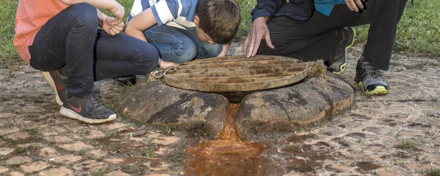 Geeser Drees, © Natur- und Geopark Vulkaneifel