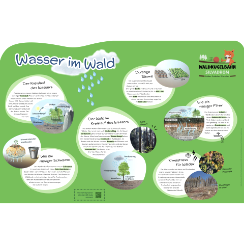 Informatiebord &ldquo;Water in het bos&rdquo; met informatie over de waterkringloop, waterfiltratie, het klimaat en nog veel meer.