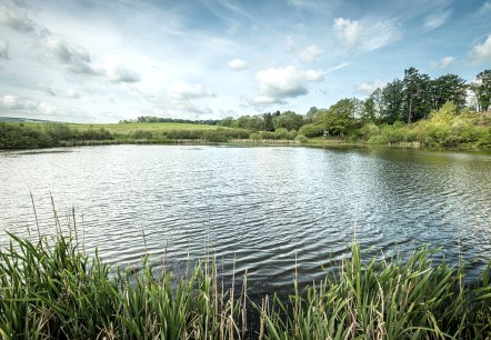 Vulcanpfad, Eichholzmaar, © Eifel Tourismus GmbH, Dominik Ketz