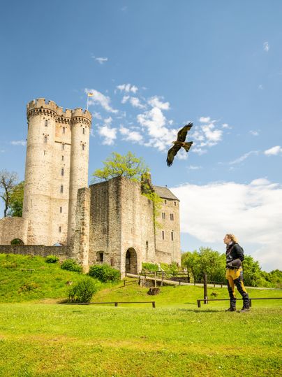 Person vor der Kasselburg in Pelm, ein großer Vogel fliegt darüber. Blauer Himmel mit wenigen Wolken.