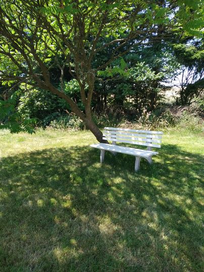 Un banc blanc se tient à l'ombre d'un arbre sur une pelouse verte. Entouré d'herbe luxuriante et de buissons, cet endroit invite à la détente.