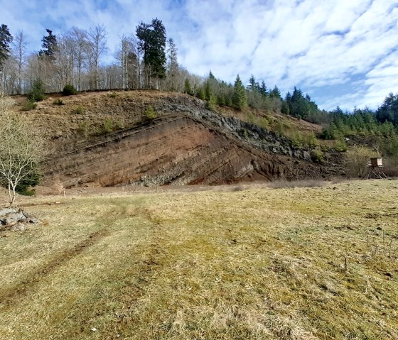 Steep rock strata on the Rockeskyller Kopf, surrounded by forest. A meadow with a high seat in the foreground under a blue sky., © Touristik GmbH Gerolsteiner Land, Ute Klinkhammer