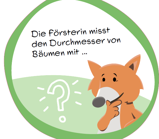 Quiz-Schild zum Baumdurchmesser mit Fuchs-Maskottchen.