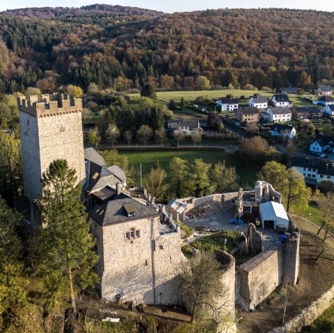 Luchtfoto van een kasteel met toren, omringd door bomen en een dorp op de achtergrond. Herfstkleuren kenmerken het landschap., &copy; Eifel Tourismus GmbH, Dominik Ketz