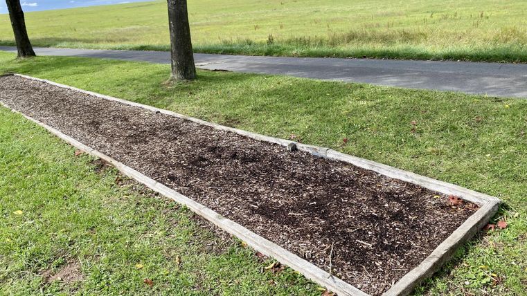 In Holz gefasstes Beet mit Rindenmulch auf einer Wiese. Angrenzend ein Gehweg und vereinzelte Bäume.