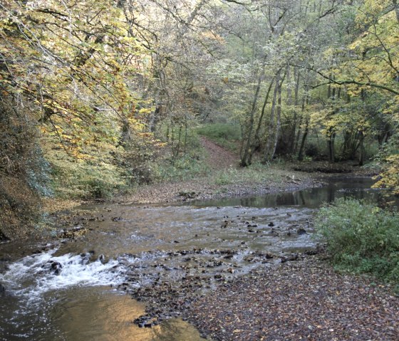 County Trail: Hike along the Lieser, © Eifel Tourismus GmbH