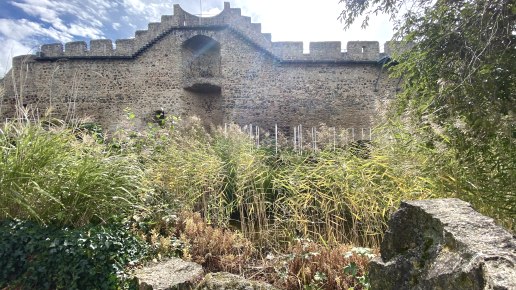 Innenbereich Stadtmauer, © Touristik GmbH Gerolsteiner Land