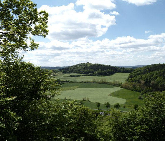 Grüne Felder und bewaldete Hügel unter einem blauen Himmel mit Wolken. Blick von einem erhöhten Punkt auf die Landschaft., © Touristik GmbH Gerolsteiner Land