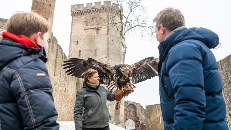 Eine Tierpflegerin präsentiert einen Adler zwei Parkbesuchern vor der Kulisse der Kasselburg.