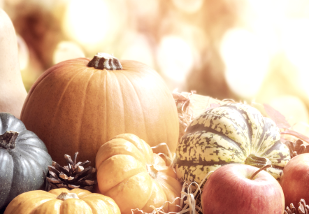 Erntedank, &copy; Touristik GmbH Gerolsteiner Land