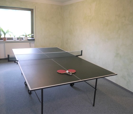 Hotel-Tannenfels-Tischtennis, &copy; Andreas Kube -Touristik GmbH Gerolsteiner Land