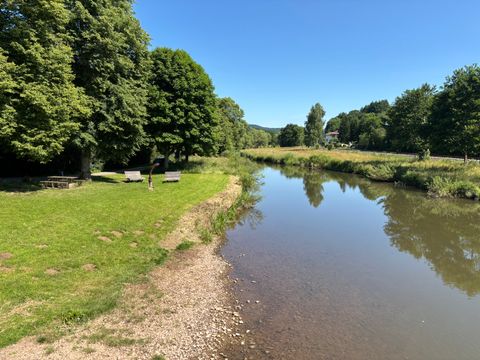 Fluss mit grünem Ufer und Bäumen, Person steht auf der Wiese, blauer Himmel.