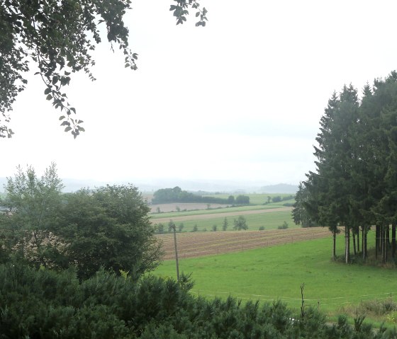 Ferienhaus Ammermann Aussicht, &copy; Touristik GmbH Gerolsteiner Land > A. Kube