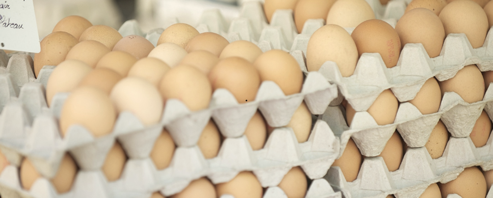 Eierverkauf, &copy; canva