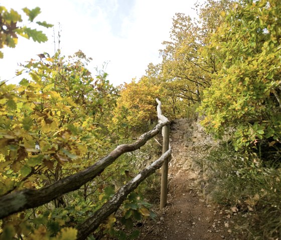 Weg hinauf zur Kuckucksley, einem Aussichtspunkt mit guter Aussicht auf den Ort Olef, © Rheinland-Pfalz Tourismus/D. Ketz