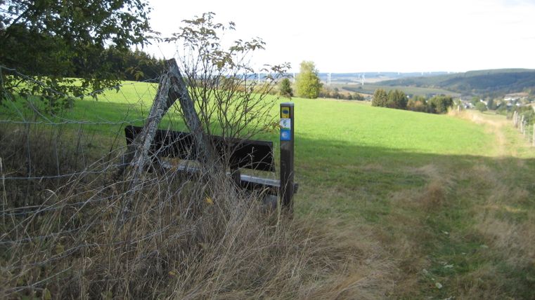 Landscape with bench and hiking trail in Ormont.