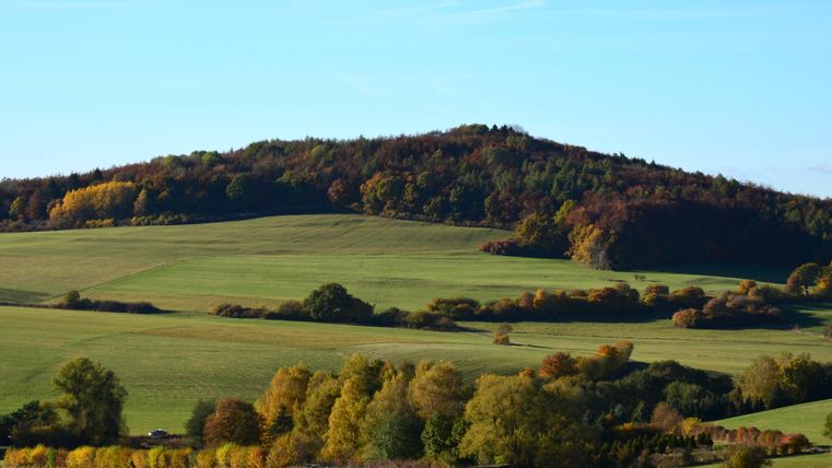 Eine sanfte, grüne Landschaft mit einem bewaldeten Hügel im Hintergrund. Die Bäume zeigen herbstliche Farben und der Himmel ist klar.