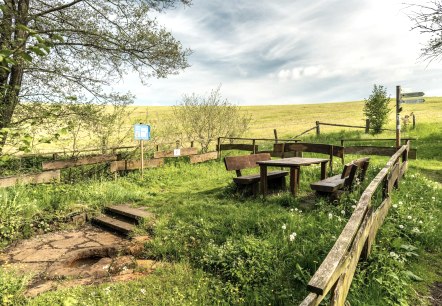 Picknickplatz am Steffelner Drees, &copy; Eifel Tourismus GmbH, Dominik Ketz