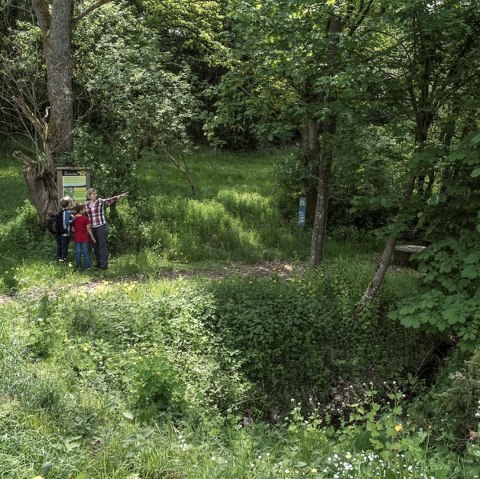 Quelle am Laubachshof, © Bitte die Fotos nur nach Rücksprache mit uns in den sozialen Medien veröffentlichen, wie möchten diese exklusiv halten. Eine Veröffentlichung auf eurer Homepage oder in Prospekten ist kein Problem.