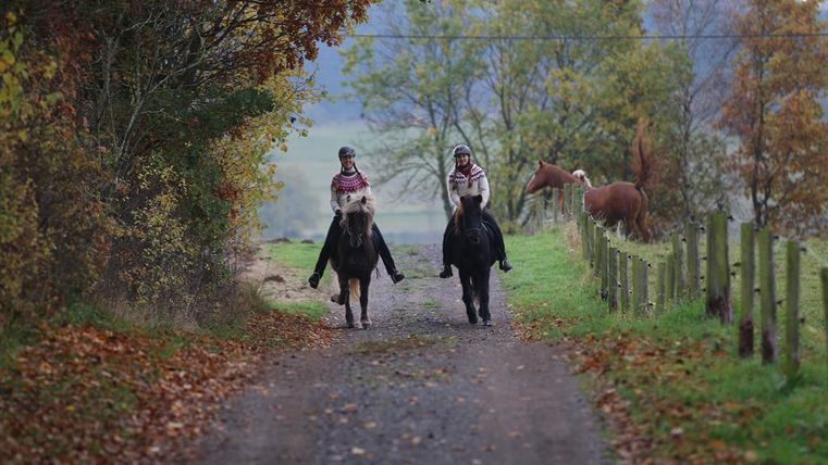 Zwei Reiterinnen auf einem Waldweg in der Natur. Im Hintergrund sind einige Pferde und farbige Bäume zu sehen.