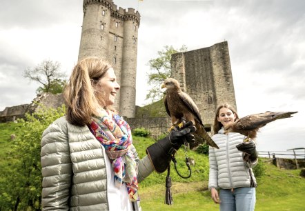 Greifvögel ganz nah, Adler- und Wolfspark, © Eifel Tourismus GmbH, Dominik Ketz