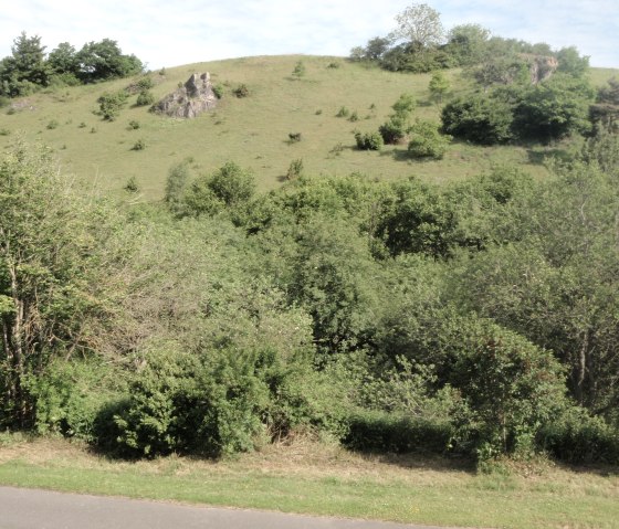 Mühlenberg opposite