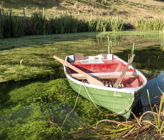 Pond on the Hinterb&uuml;sch path, &copy; Eifel Tourismus GmbH/D.Ketz