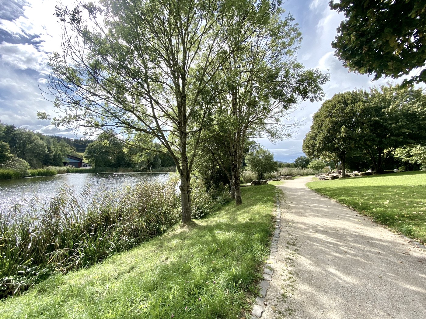 Ein sonniger Park mit einem Weg entlang eines Sees, umgeben von Bäumen und Grasflächen.
