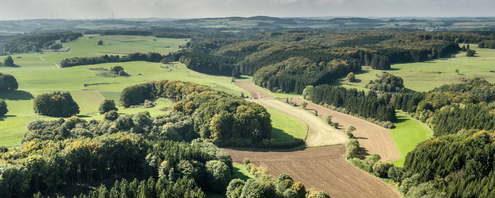 Vogelperspektive auf eine weitl&auml;ufige Wald-, Wiesen- und Felderlandschaft.