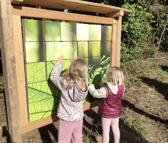Zwei Kinder erkunden eine Lernstation im Wald. Sie stehen vor einem Holzrahmen mit grünen Tafeln, die Pflanzenmotive zeigen., © Touristik GmbH Gerolsteiner Land