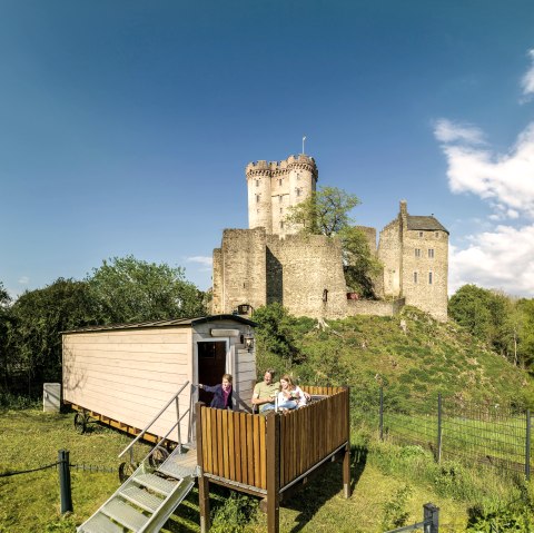 ET-2023-205-Adler & Wolfspark Kasselburg, Pelm-&copy;Ei