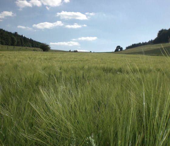 herrliche Eifellandschaft