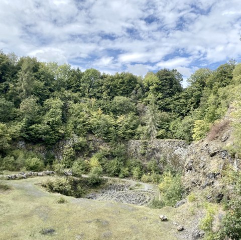 Gr&uuml;ner Steinbruch mit &uuml;ppiger Vegetation und Felsw&auml;nden unter blauem Himmel. Der Boden ist mit Gras und Steinen bedeckt., &copy; Touristik GmbH Gerolsteiner Land