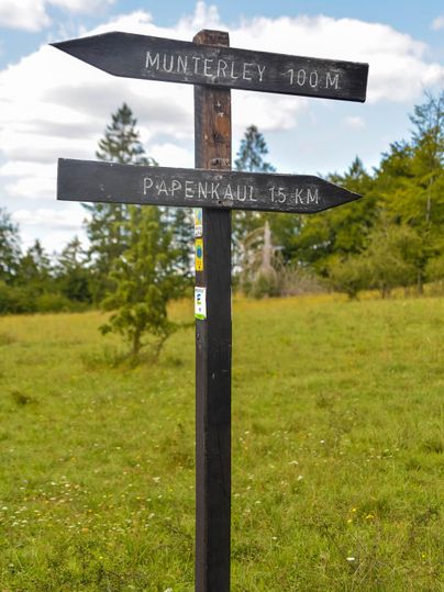 Hinweisschild aus Holz mit zwei Richtungspfeilen auf einer Wiese mit Wald im Hintergrund. Ein Pfeil zeigt zur Munterley und der andere zur Papenkaule.