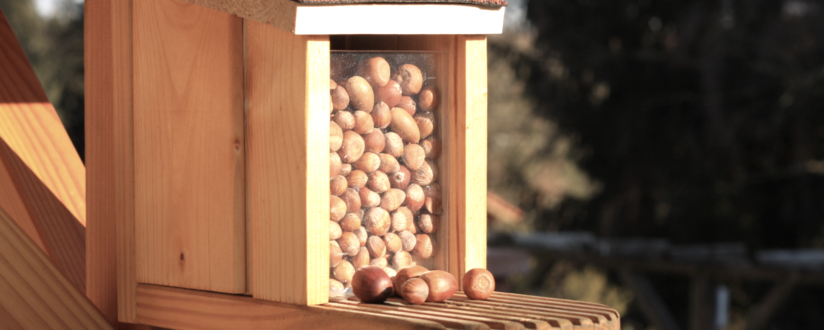 Wildtierhilfe Musterbild, © Canva