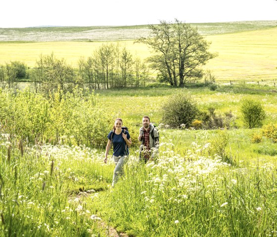 Zwei Wanderer auf einem grünen Pfad in einer ländlichen Landschaft mit blühenden Wiesen und Bäumen., © Eifel Tourismus GmbH, Dominik Ketz