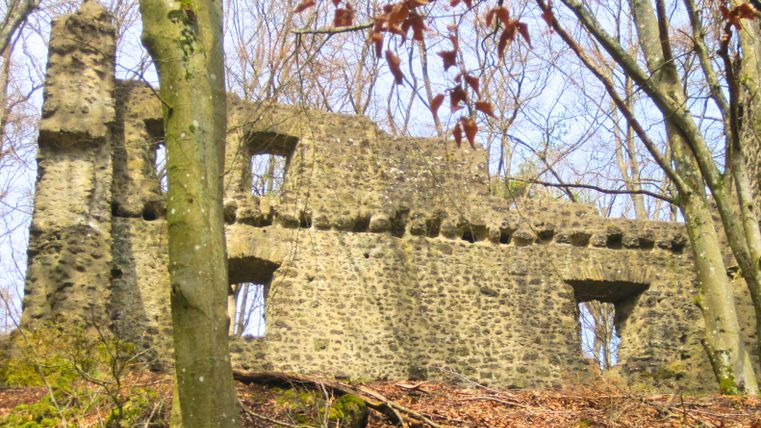 Ruïnes van kasteel Freudenkoppe in een bos.