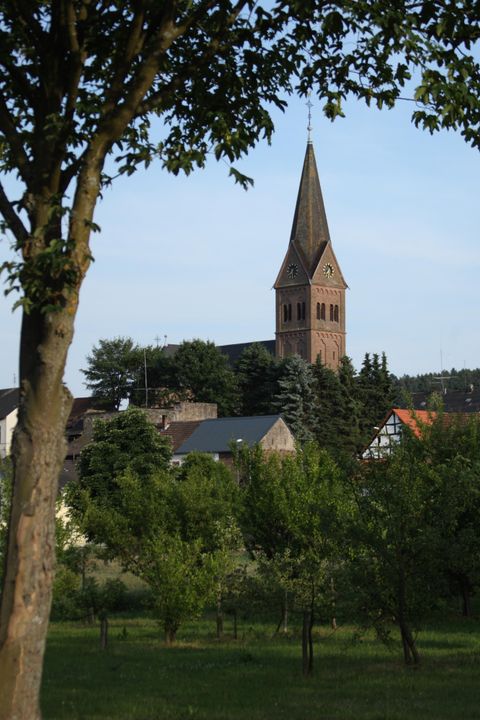 Kirchturm der Kirche in Niederbettingen ragt über Bäume und Häuser. Im Vordergrund ein Baum und grüne Wiese.