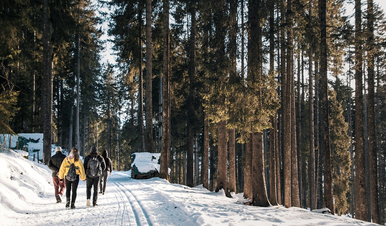 Eine Gruppe Wanderer l&auml;uft auf einem zugeschneiten Weg durch einen Nadelwald.