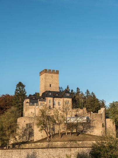 Die Burg Kerpen thront auf einem bewaldeten Hügel, umgeben von Bäumen und unter klarem, blauem Himmel.