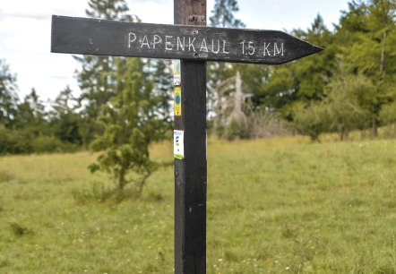 Wegweiser, &copy; Thomas Hendele