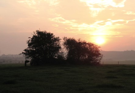 Sonnenuntergang über einer Wiese mit Bäumen im Vordergrund. Der Himmel ist orange und rosa gefärbt, was eine ruhige Abendstimmung erzeugt., © Touristik GmbH Gerolsteiner Land, Ute Klinkhammer