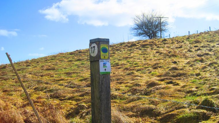 Holzpfeiler mit Wanderwegschildern auf einem Hügel.